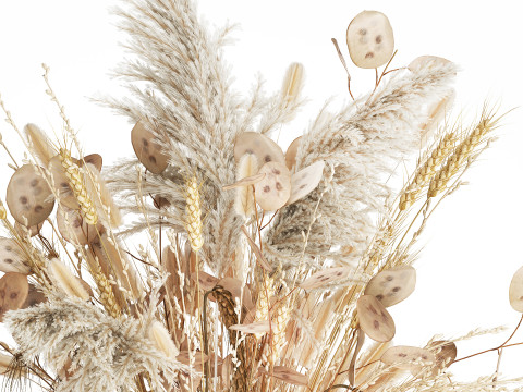 Bouquet Dried Flowers Dry Pampas Wheat Spikelet 557 3D Model
