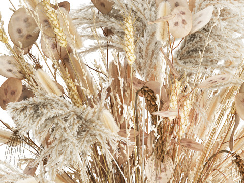 Bouquet Dried Flowers Dry Pampas Wheat Spikelet 557 3D Model