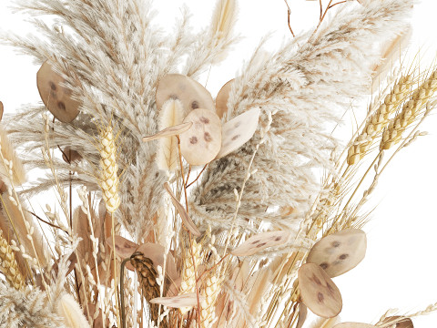Bouquet Dried Flowers Dry Pampas Wheat Spikelet 557 3D Model