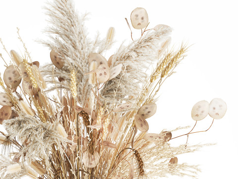 Bouquet Dried Flowers Dry Pampas Wheat Spikelet 557 3D Model