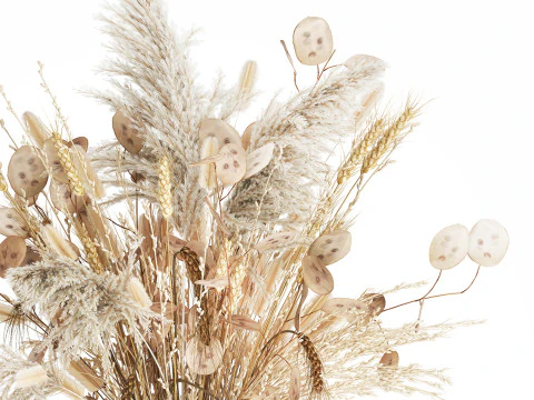 Bouquet Dried Flowers Dry Pampas Wheat Spikelet 557 3D Model