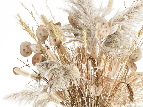 Bouquet Dried Flowers Dry Pampas Wheat Spikelet 557 3D Model