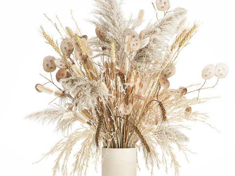 Bouquet Dried Flowers Dry Pampas Wheat Spikelet 557 3D Model