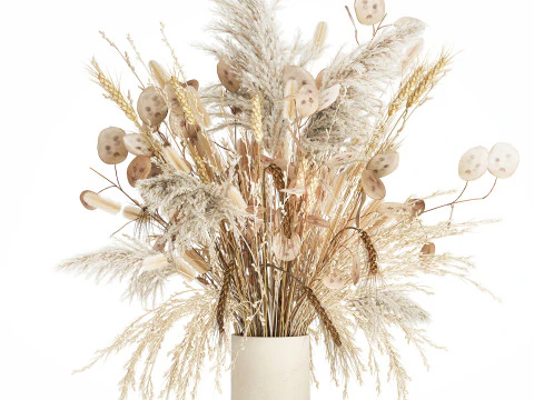 Bouquet Dried Flowers Dry Pampas Wheat Spikelet 557 3D Model