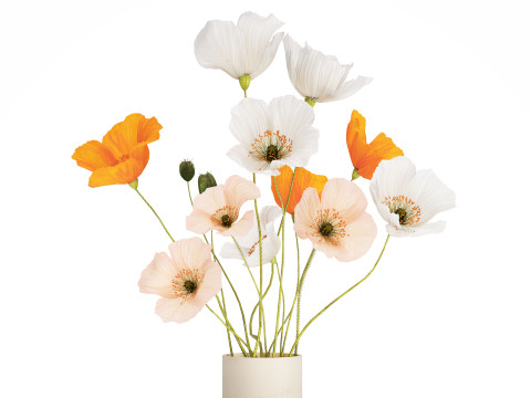 Flower Bouquet White Icelandic Poppy In A Vase 558 Modello 3D