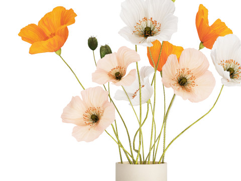 Flower Bouquet White Icelandic Poppy In A Vase 558 Modello 3D