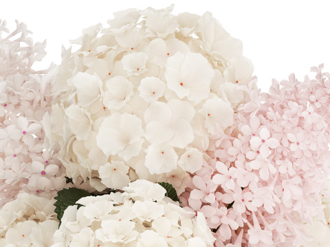 Beautiful white bouquet vase branches of hydrangea lilac 558 3D Model