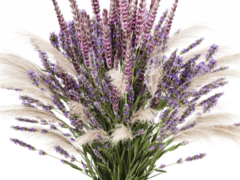 White Bouquet Of Dried Flowers Lovanda Branches in a vase 559 3D मॉडल