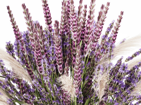 White Bouquet Of Dried Flowers Lovanda Branches in a vase 559 3D मॉडल