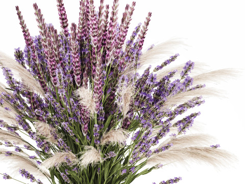 White Bouquet Of Dried Flowers Lovanda Branches in a vase 559 3D मॉडल