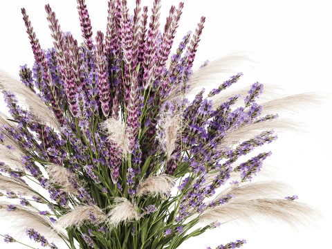 Mazzo bianco di fiori secchi, rami di lovanda in vaso 559 Modello 3D