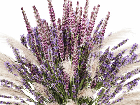 White Bouquet Of Dried Flowers Lovanda Branches in a vase 559 3D मॉडल