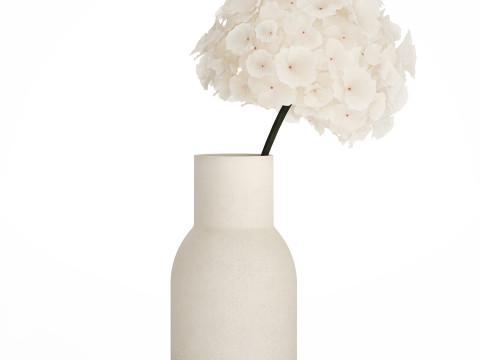 Bouquets Of Dried Flowers Lovanda Wheat Poppy hydrangea 560 3D 模型