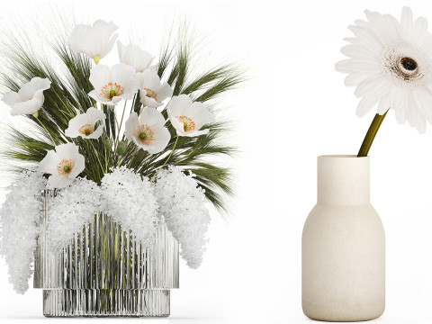 Set bouquets of dried flowers lilac wheat poppy sakura Gerbera 561 3D मॉडल