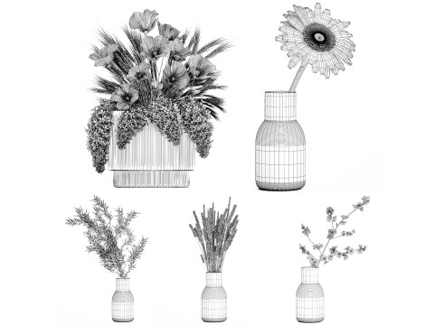 Set bouquets of dried flowers lilac wheat poppy sakura Gerbera 561 3D मॉडल