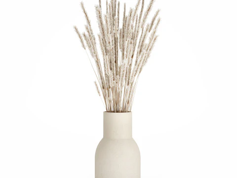 Set mazzi di fiori secchi lilla papavero di grano sakura Gerbera 561 Modello 3D