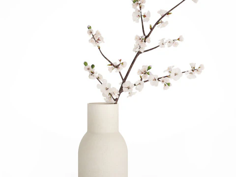 Set mazzi di fiori secchi lilla papavero di grano sakura Gerbera 561 Modello 3D
