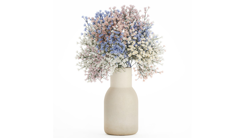 Beautiful Small Multi-colored Bouquet Gypsophila 562 3D मॉडल .c4d .max .obj .3ds .fbx .stl .blend