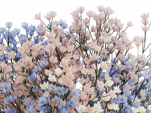 Beautiful Small Multi-colored Bouquet Gypsophila 562 3D मॉडल
