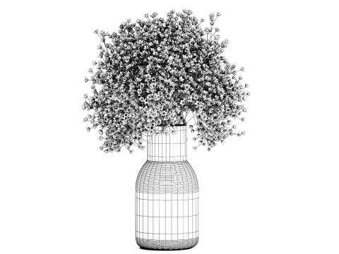 Beautiful Small Multi-colored Bouquet Gypsophila 562 3D मॉडल