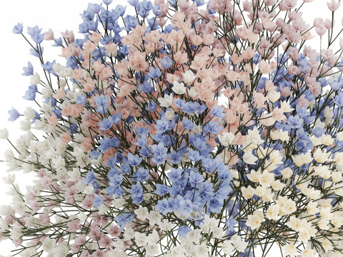 Beautiful Small Multi-colored Bouquet Gypsophila 562 3D मॉडल