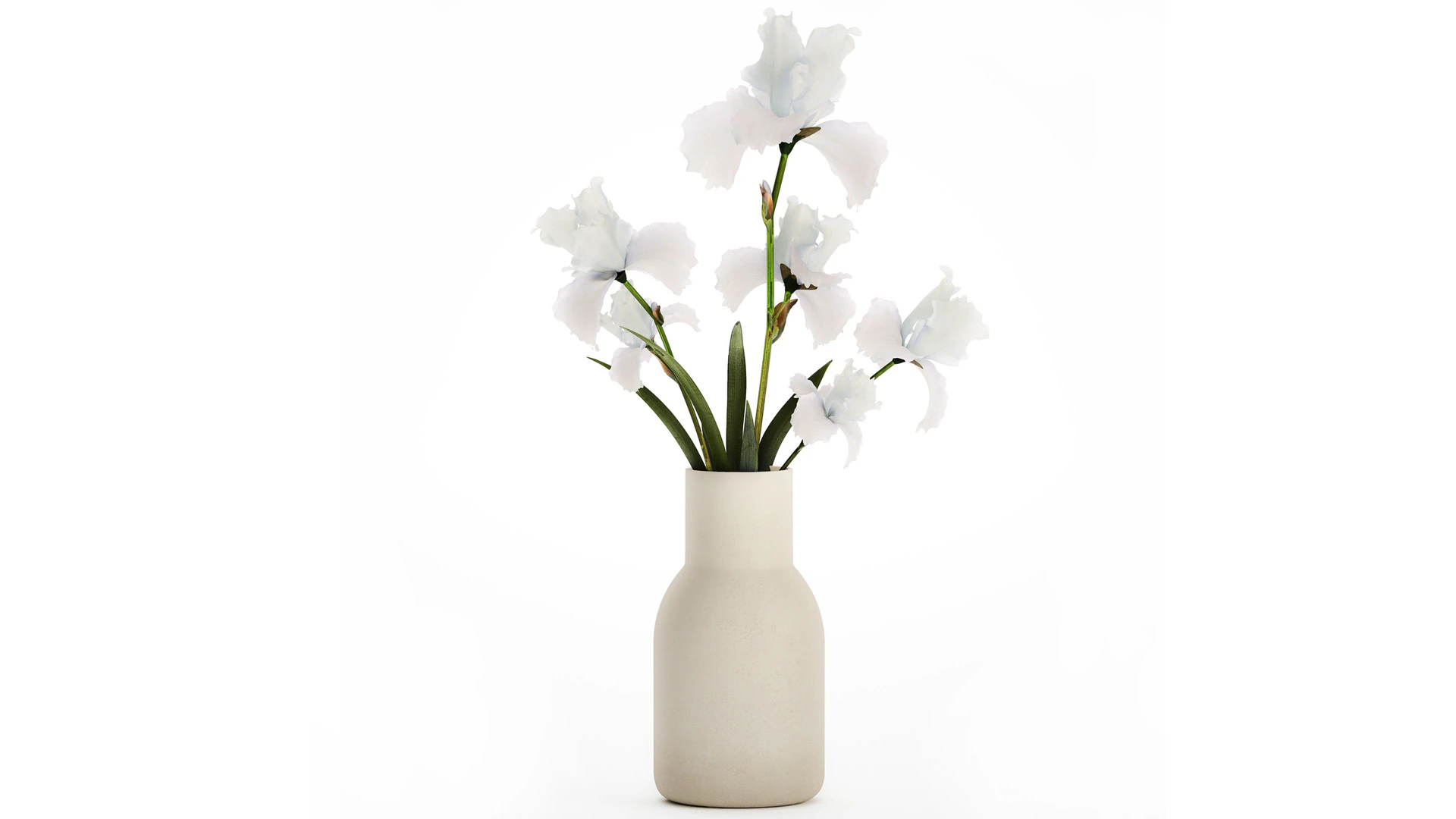 Beautiful white small bouquet in a vase with flowers Iris Set 563 3D Model .c4d .max .obj .3ds .fbx .stl .blend 