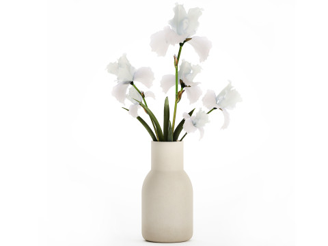 Beautiful white small bouquet in a vase with flowers Iris Set 563 3Dモデル
