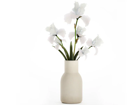 Buket kecil putih yang indah dalam vas dengan bunga Iris Set 563 Model 3D