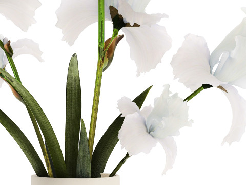 Beautiful white small bouquet in a vase with flowers Iris Set 563 3D-Modell