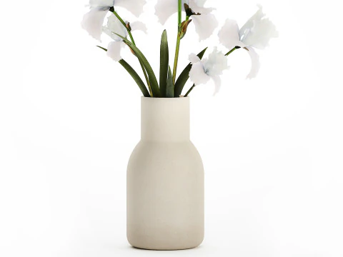 Beautiful white small bouquet in a vase with flowers Iris Set 563 3D Model