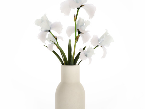 Beautiful white small bouquet in a vase with flowers Iris Set 563 3D-Modell