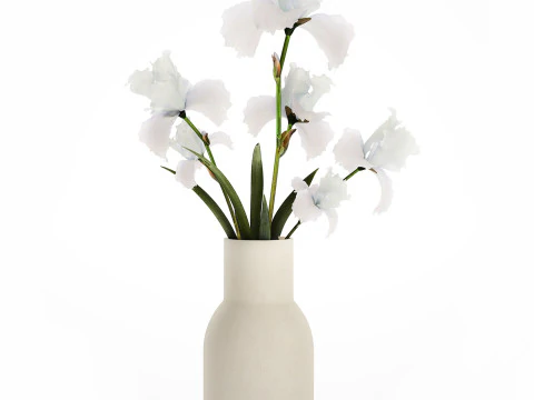 Beautiful white small bouquet in a vase with flowers Iris Set 563 3D Model