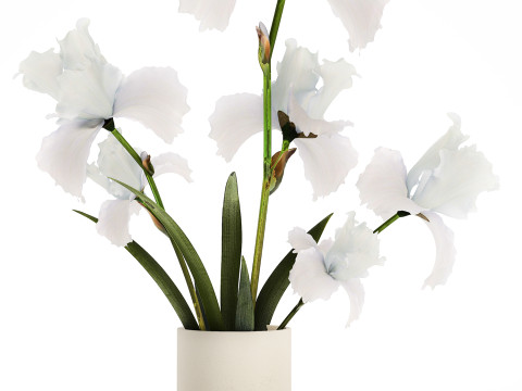 Beautiful white small bouquet in a vase with flowers Iris Set 563 3D-Modell