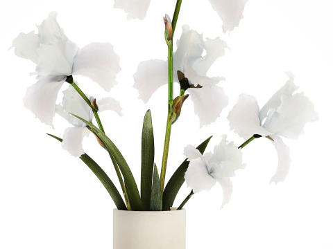 Beautiful white small bouquet in a vase with flowers Iris Set 563 3D Model