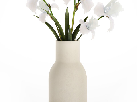 Beautiful white small bouquet in a vase with flowers Iris Set 563 3D-Modell