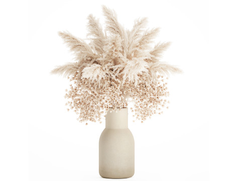 White Bouquet Dried Flowers Gypsophila Cortaderia 564 3D मॉडल