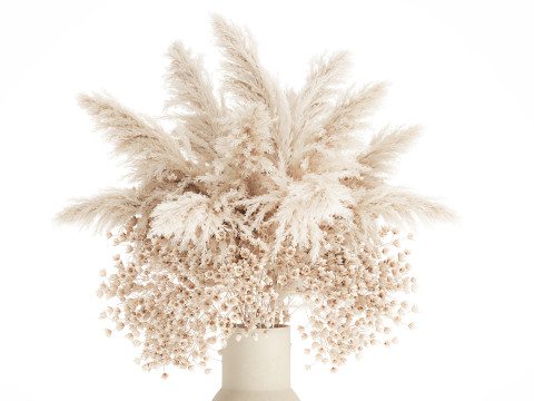 White Bouquet Dried Flowers Gypsophila Cortaderia 564 Modello 3D