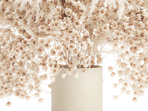 White Bouquet Dried Flowers Gypsophila Cortaderia 564 Modello 3D
