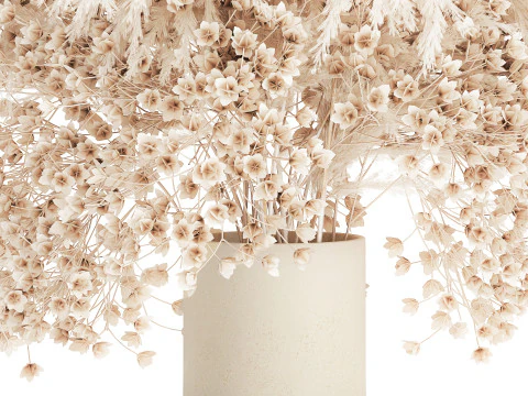 Buqu&ecirc; Branco Flores Secas Gypsophila Cortaderia 564 Modelo 3D