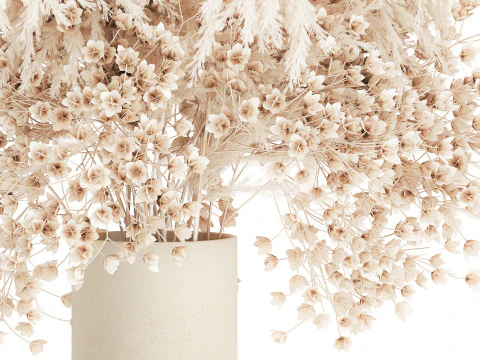 Buqu&ecirc; Branco Flores Secas Gypsophila Cortaderia 564 Modelo 3D