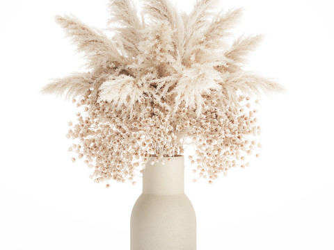White Bouquet Dried Flowers Gypsophila Cortaderia 564 Modello 3D