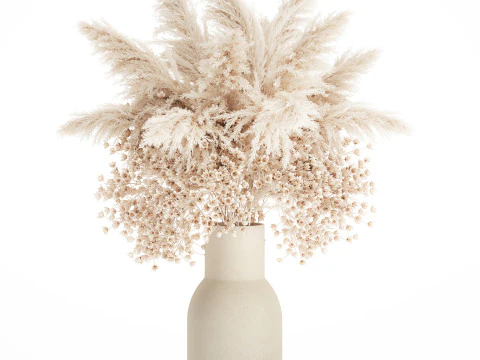 Buqu&ecirc; Branco Flores Secas Gypsophila Cortaderia 564 Modelo 3D