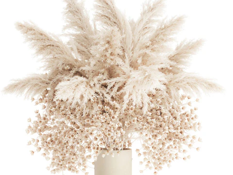 Buqu&ecirc; Branco Flores Secas Gypsophila Cortaderia 564 Modelo 3D