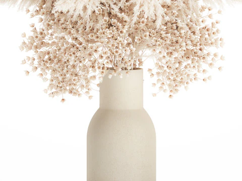 Buqu&ecirc; Branco Flores Secas Gypsophila Cortaderia 564 Modelo 3D
