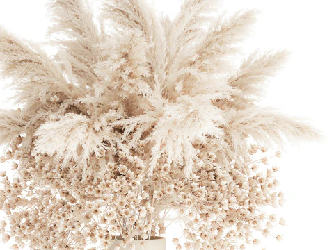 Buqu&ecirc; Branco Flores Secas Gypsophila Cortaderia 564 Modelo 3D