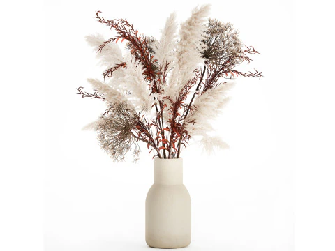 꽃다발 말린 꽃 가지 Hogweed Cortaderia 565 3D 모델