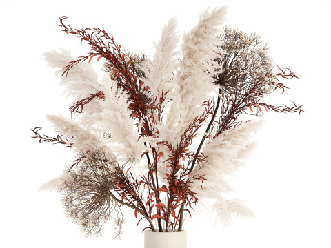 Bouquet Dried Flowers Branches Hogweed Cortaderia 565 Modelo 3D