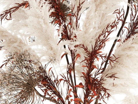 Bouquet Dried Flowers Branches Hogweed Cortaderia 565 3D Model