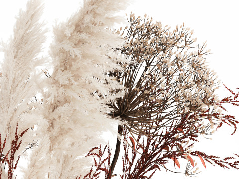 Bouquet Dried Flowers Branches Hogweed Cortaderia 565 Modelo 3D