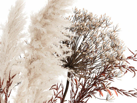 Bouquet Dried Flowers Branches Hogweed Cortaderia 565 3D Model